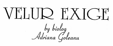 VELUR EXIGE by biolog Adriana Goleanu