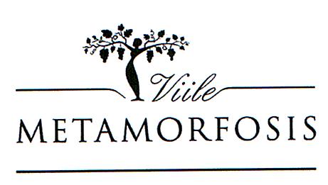 Viile METAMORFOSIS