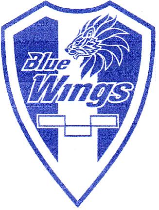 Blue Wings