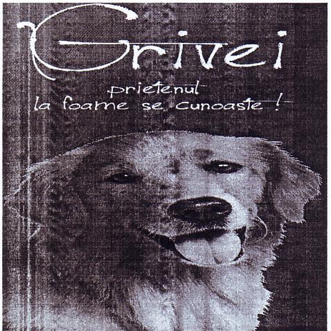 Grivei prietenul la foame se cunoaşte !