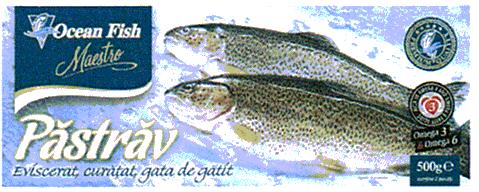 Ocean Fish Maestro