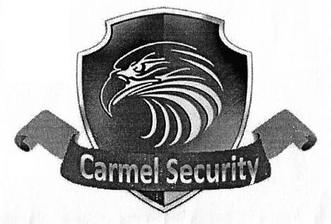 Carmel Security