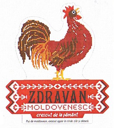 ZDRAVĂN MOLDOVENESC crescut de la pământ Pui de moldovean, crescut agale în 61 de zile şi oleacă