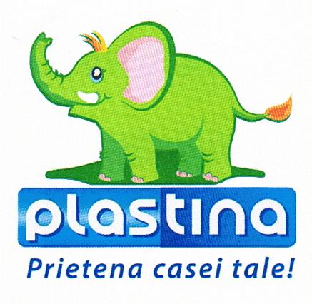 PLASTINA - Prietena casei tale!