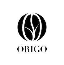 ORIGO