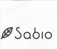 Sabio