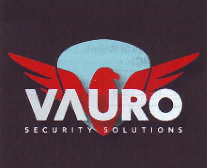 VAURO SECURITY SOLUTIONS