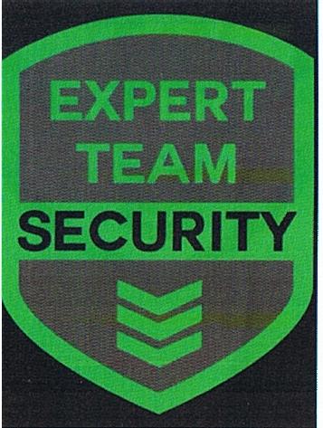 EXPERT TEAM SECURITY