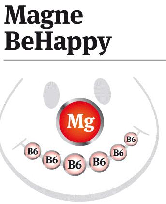 MagneBeHappy Mg B6