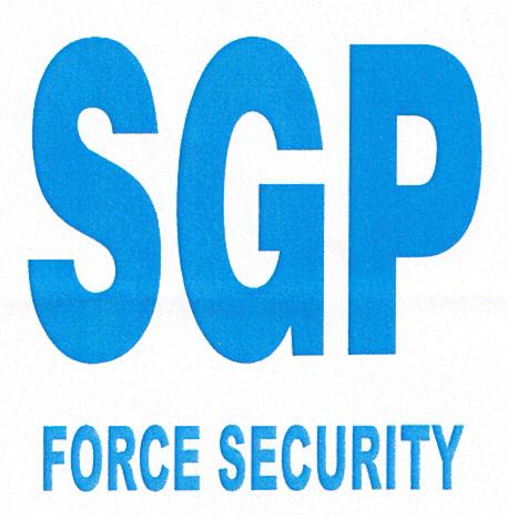 SGP FORCE SECURITY
