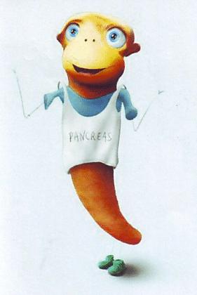 PANCREAS