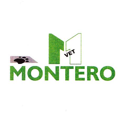 M MONTERO VET