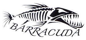BARRACUDA