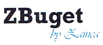 ZBuget by Zainea