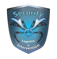 Security Logistics & Intervention