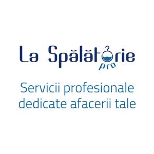 La Spălătorie pro Servicii profesionale dedicate afacerii tale