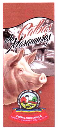 Călbaş de Maramureş