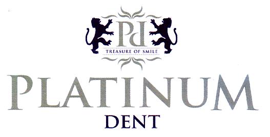 TREASURE OF SMILE PLATINUM DENT