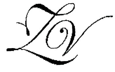 ZV