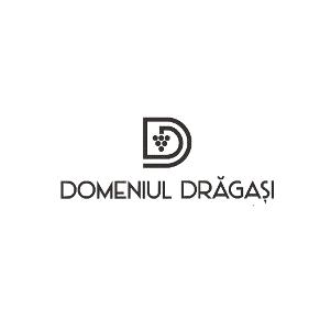 DOMENIUL DRĂGAŞI