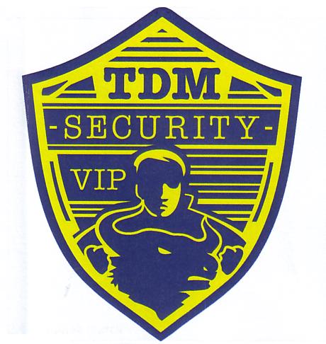 TDM SECURITY VIP