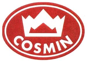 COSMIN