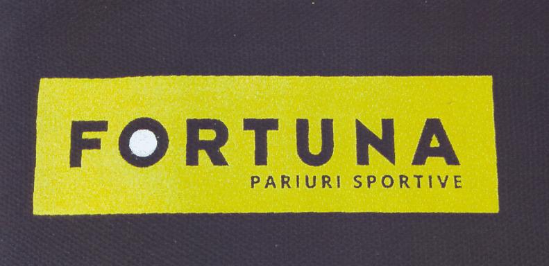 FORTUNA PARIURI SPORTIVE