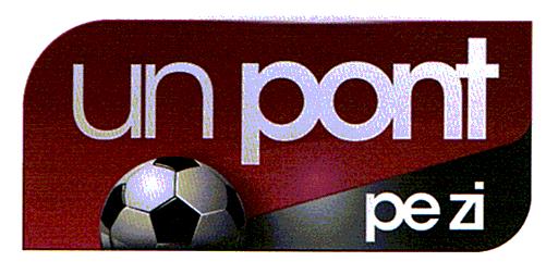 un pont pe zi
