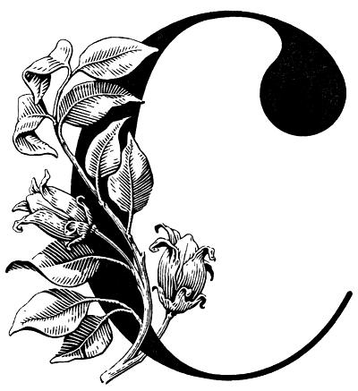 C
