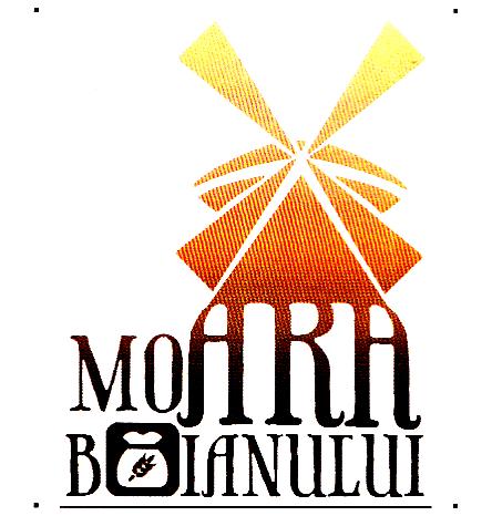 MOARA BOIANULUI