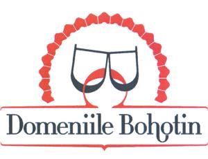 Domeniile Bohotin