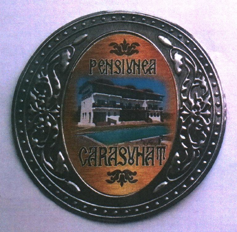 PENSIUNEA CARASUHAT