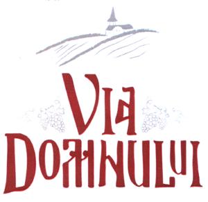 VIA DOMNULUI