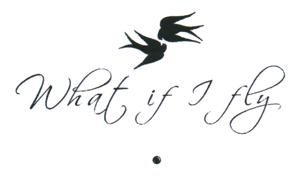 What if I fly