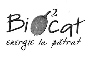 BIOCAT energie la pătrat