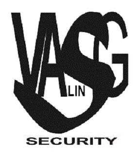 VALIN SG SECURITY
