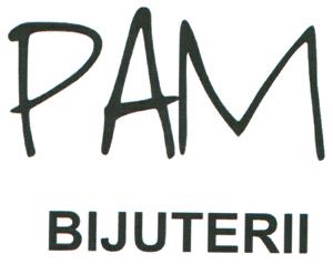 PAM BIJUTERII
