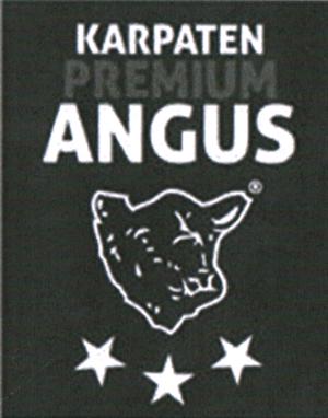 KARPATEN PREMIUM ANGUS