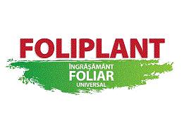 FOLIPLANT ÎNGRĂŞĂMÂNT FOLIAR UNIVERSAL