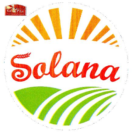 VEL PITAR CEL DINTAI BRUTAR Solana