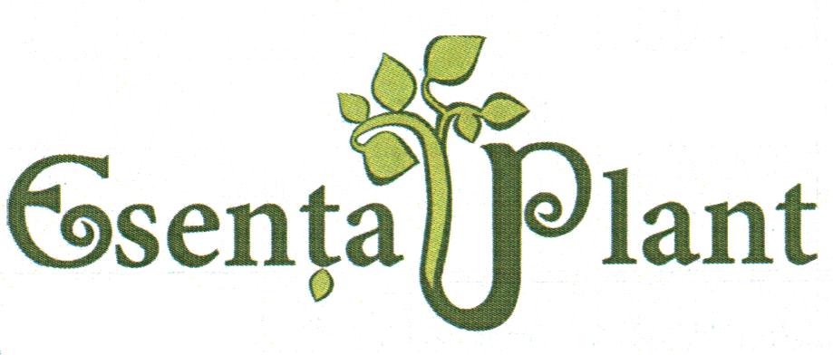 Esenţa Plant