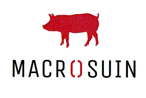 MACROSUIN
