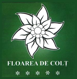 FLOAREA DE COLŢ