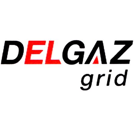 DELGAZ grid