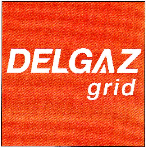 DELGAZ grid