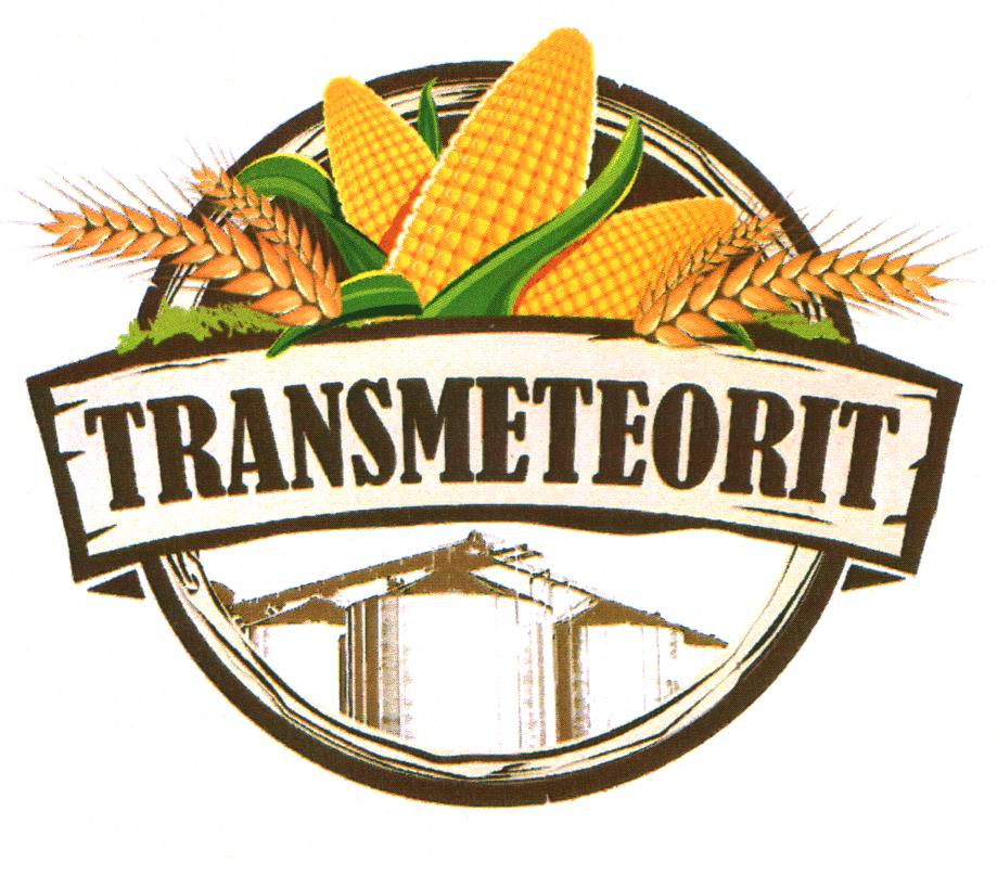 TRANSMETEORIT