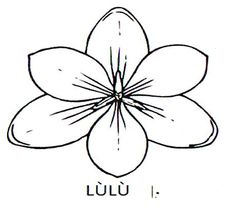 LŮLŮ