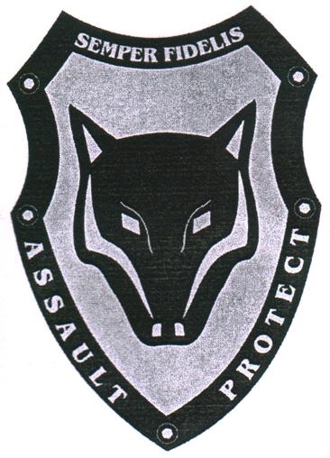 ASSAULT PROTECT SEMPER FIDELIS