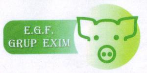 E.G.F. GRUP EXIM