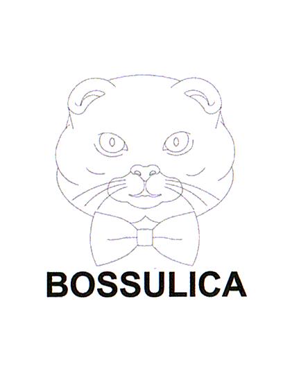 BOSSULICA